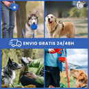 Trela retrátil para cães com taça dobrável