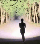 Lanterna Portátil Recarregável PRO® (Elevada potência)