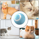 Bolinha Interativa Com Rolamento  PETSAFF 1+1 Grátis