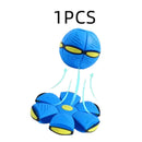 48692465336667|48692465402203