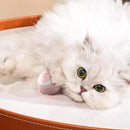 Bolinha Interativa Com Rolamento  PETSAFF 1+1 Grátis