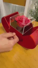 Caixa de Rosa Preservada + Colar ❤️